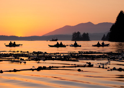 Kayakers, Kelp Beds, Tofino Sunsets, Tofino, BC
