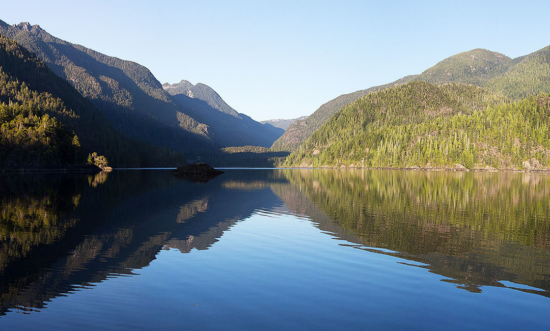 Tofino Landscapes