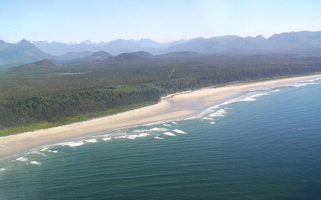 Fly to Tofino Flights