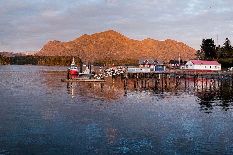 Tofino Harbour