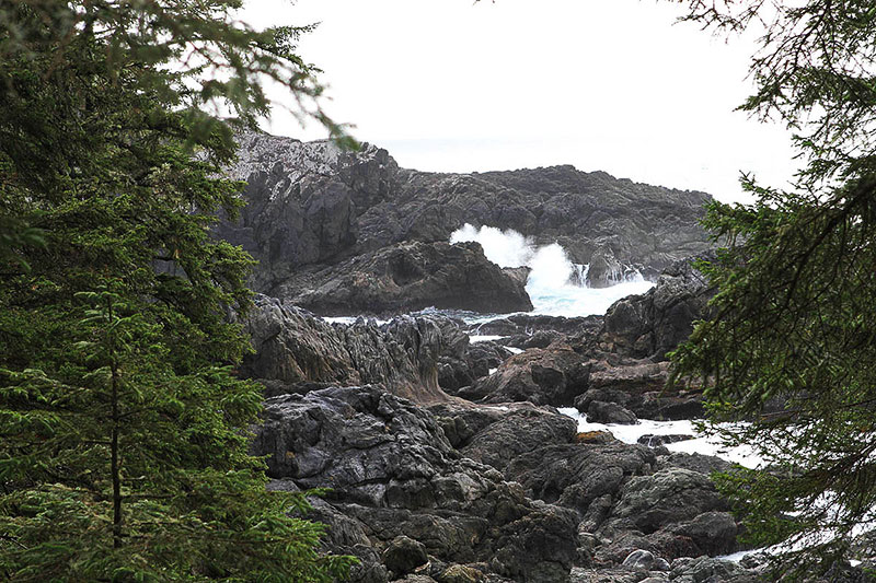 Ucluelet Wild Pacific Trail II Oyster Jim Section, Ucluelet, BC, Canada