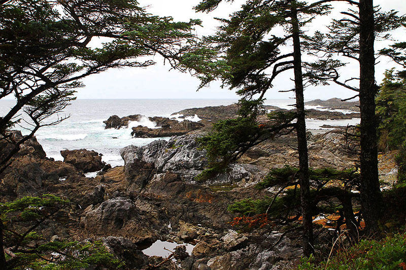 Ucluelet Wild Pacific Trail II Oyster Jim Section, Ucluelet, BC, Canada